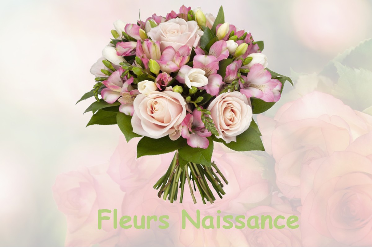 fleurs naissance SAINT-PRYVE-SAINT-MESMIN