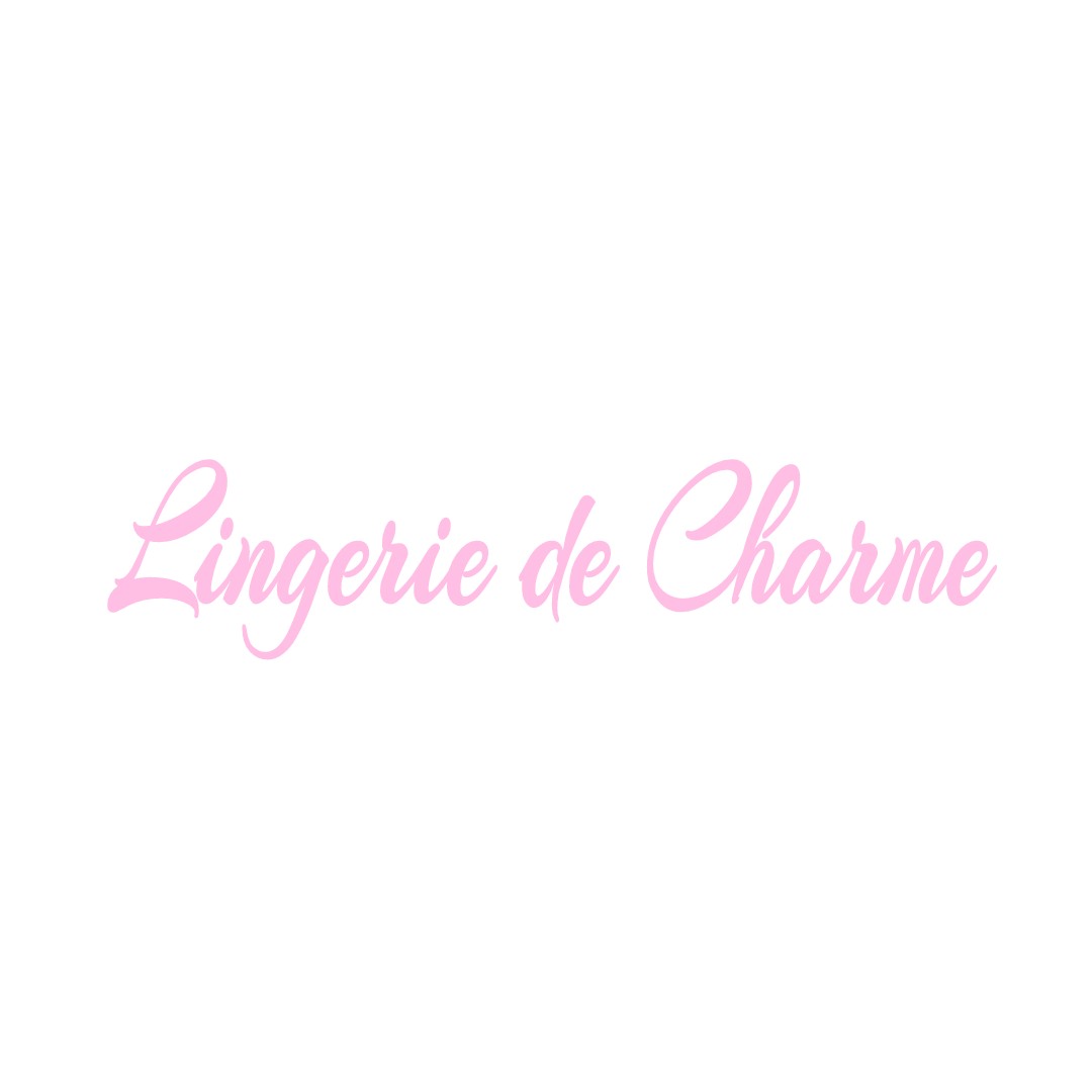 LINGERIE DE CHARME SAINT-PRYVE-SAINT-MESMIN